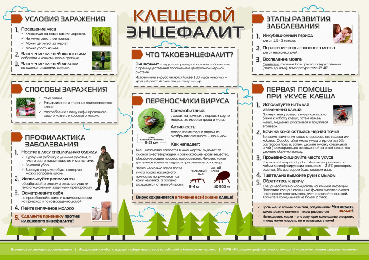 Профилактика энцефалита.